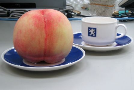 始めて見た大きな桃