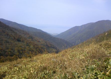 あまり通らない道