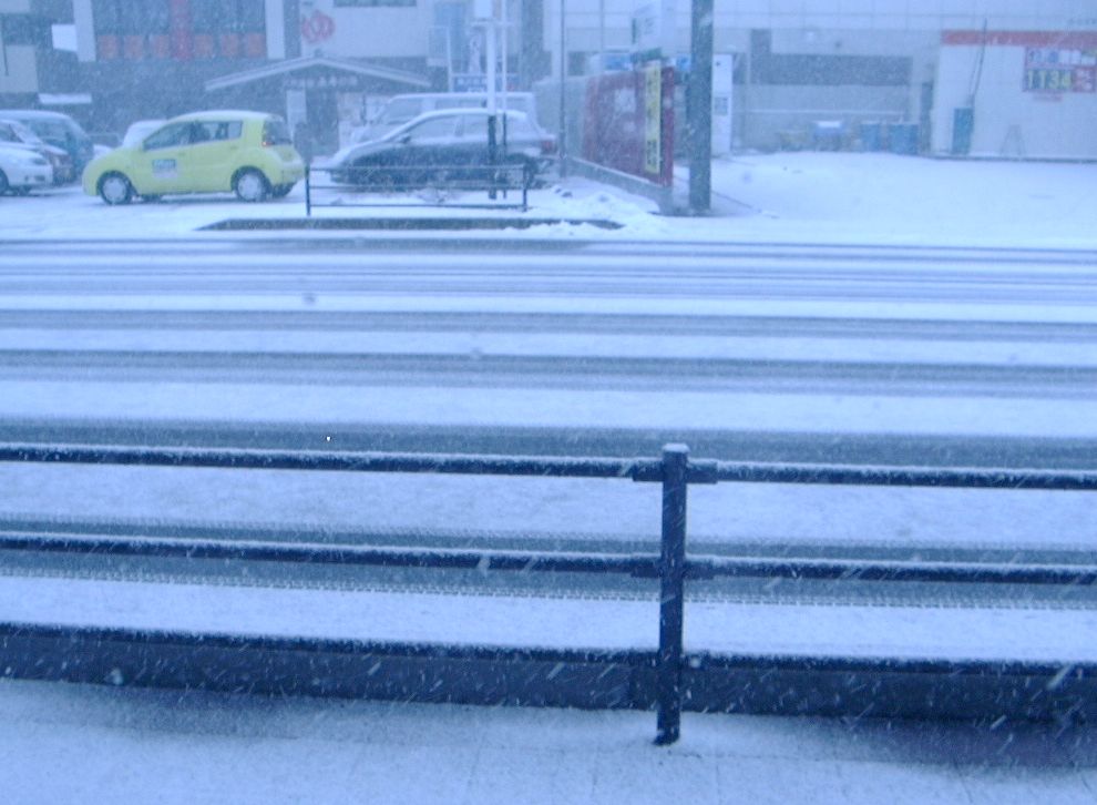 大雪、のち晴れ、のち大雪！