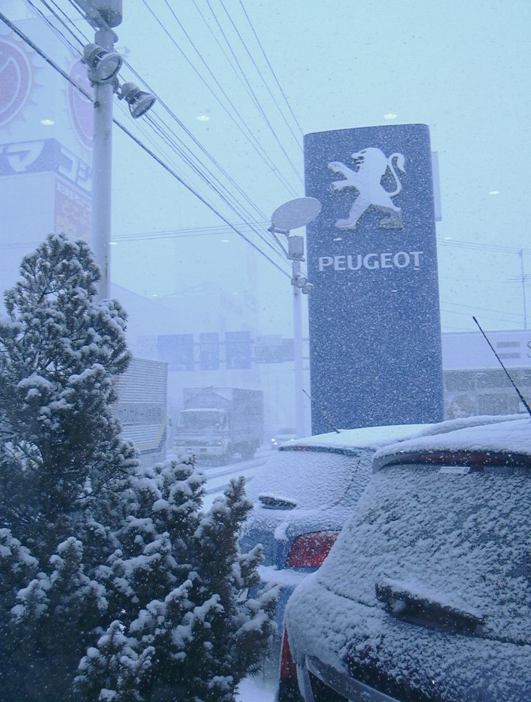 大雪、のち晴れ、のち大雪！