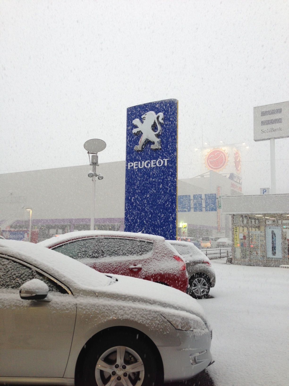 雪