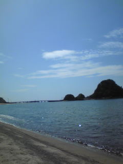 青い海・白いお魚