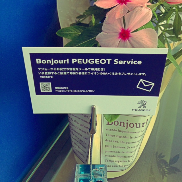 Bonjour! PEUGEOT Service