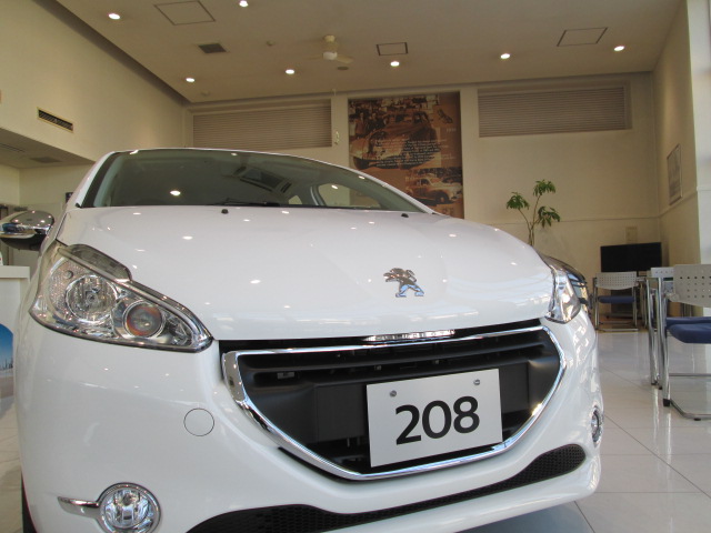 ２０８ ｅｎｖｙ　デビュー