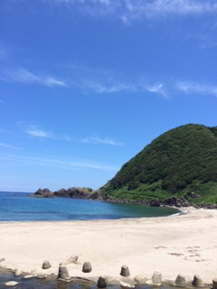 夏の一コマ