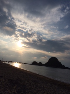 シロギスを釣ってきました