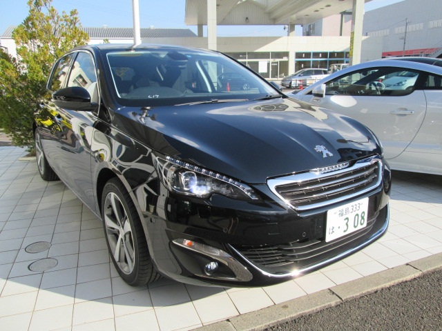 NEW308ご試乗できます!!