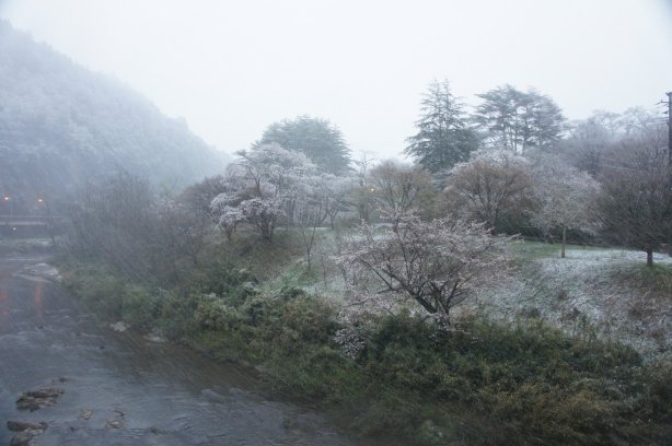 名残雪