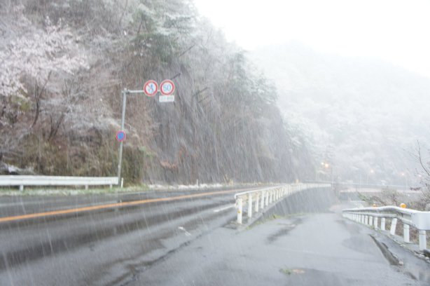 名残雪