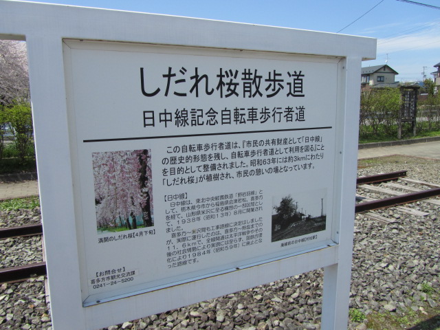 喜多方でお花見。