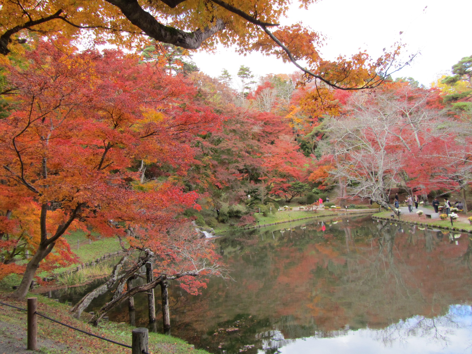 二本松市霞ヶ城公園