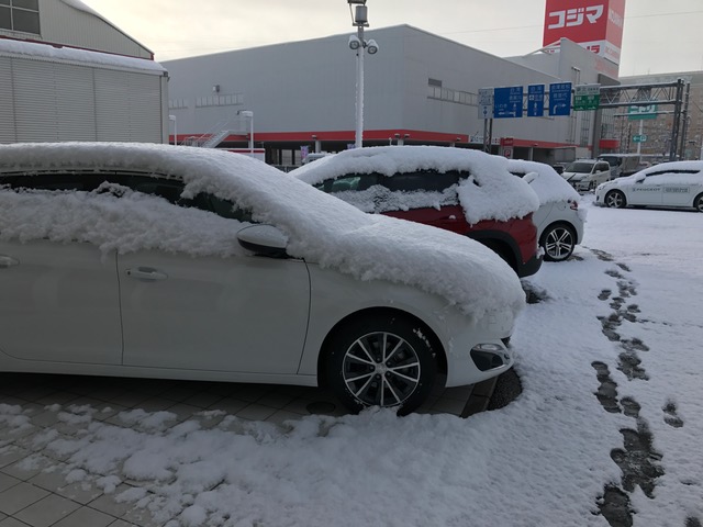 初雪かき