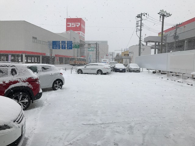 雪・ユキ・ゆき