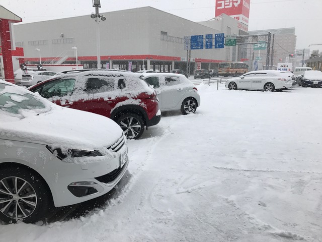 雪・ユキ・ゆき