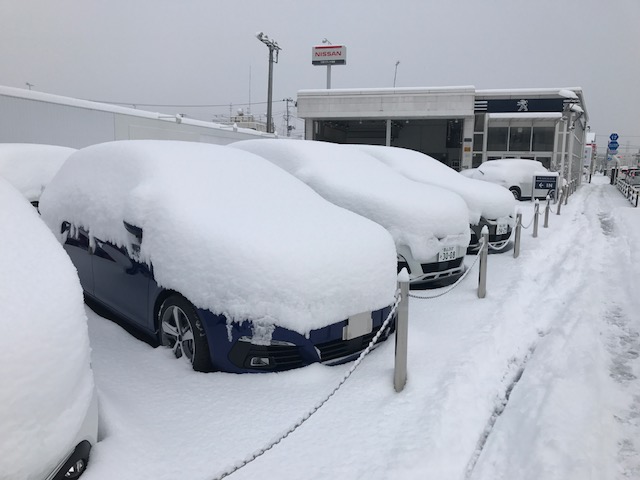 ゆき　ユキ　雪