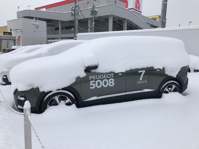 ゆき　ユキ　雪