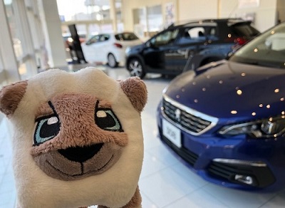 ショールーム日記