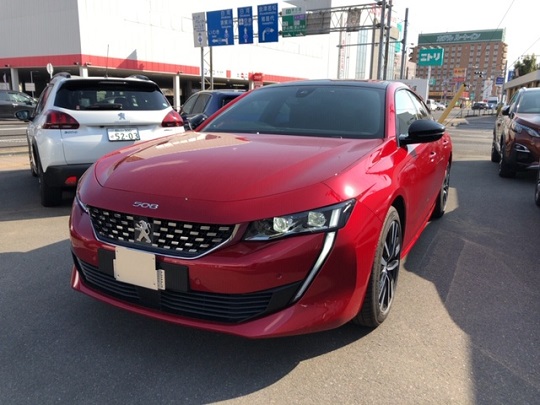 NEW508