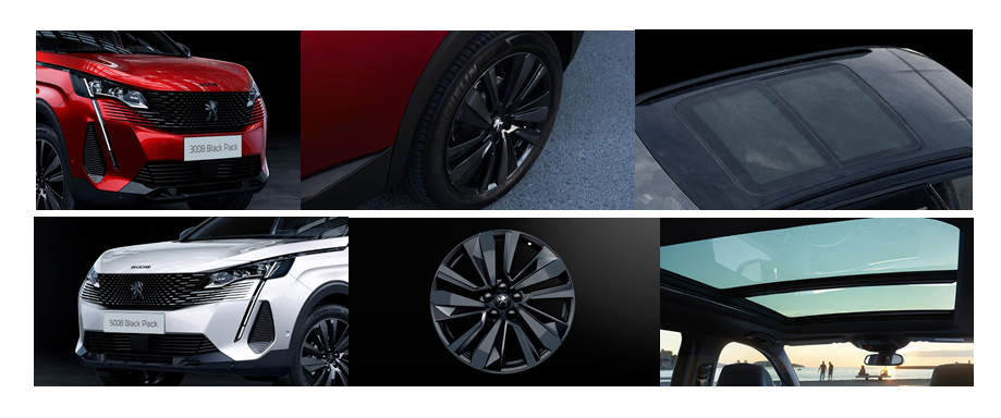 LION SUV フェア