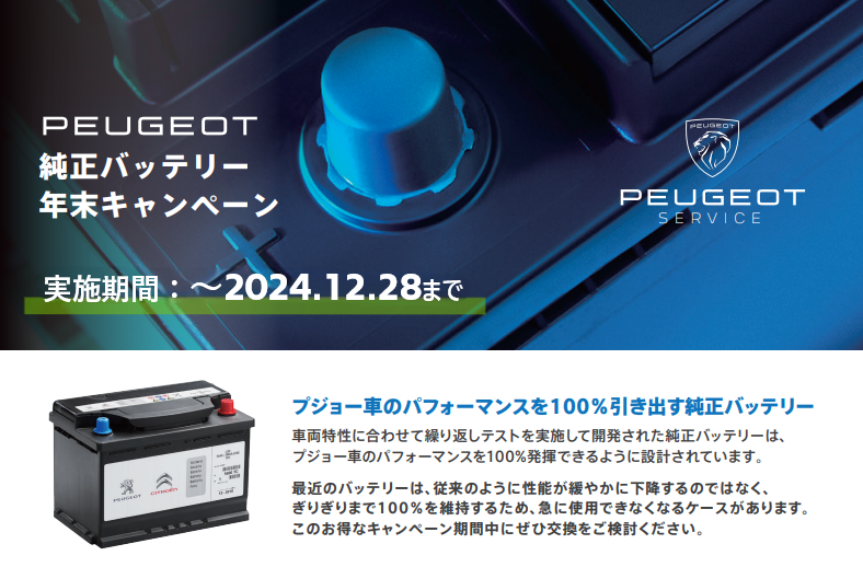 バッテリーの日🔋