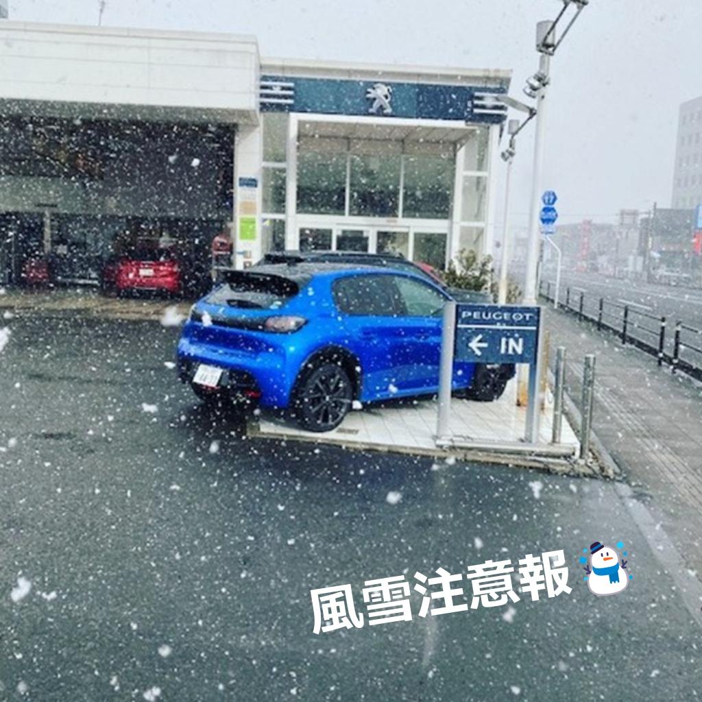 風雪注意報☃️