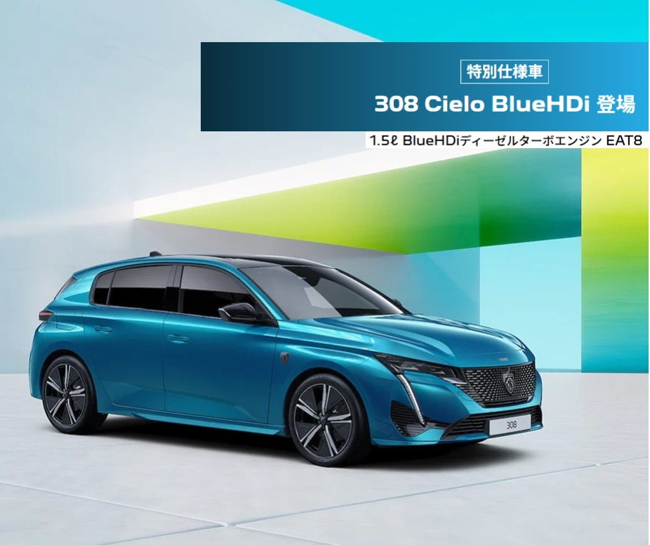 308特別仕様車 登場！