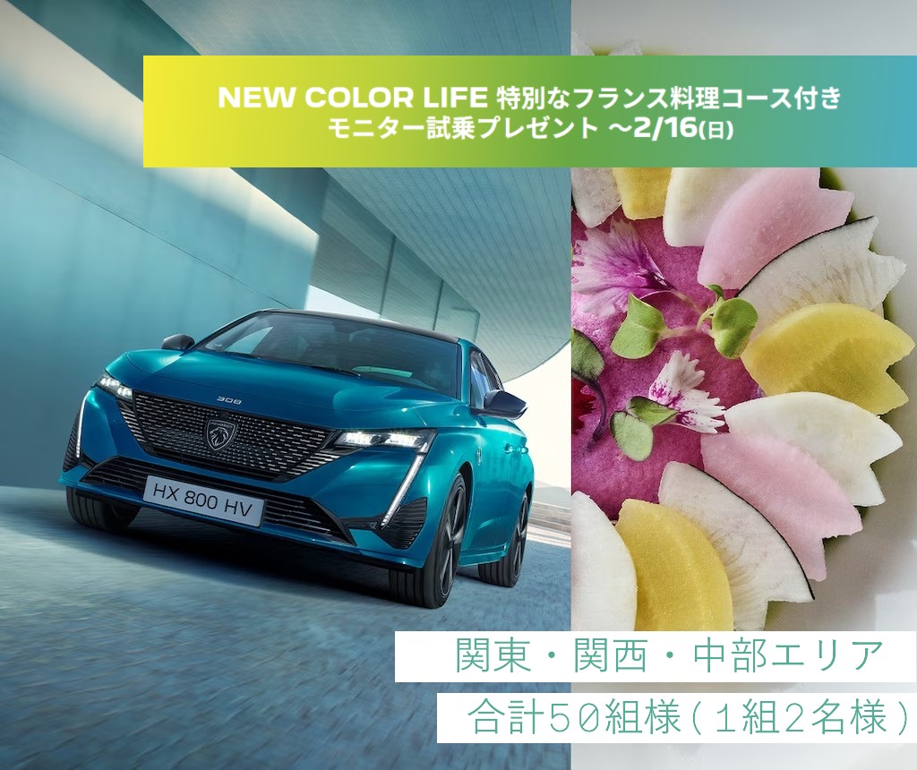 特別なフランス料理コースのランチはいかがですか？
