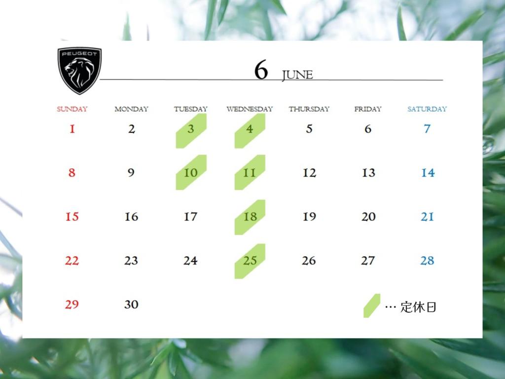 ◆6月定休日のご案内◆
