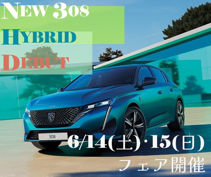 今週の土日はNEW308フェア開催！