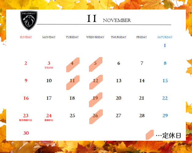 ◆11月定休日のご案内◆