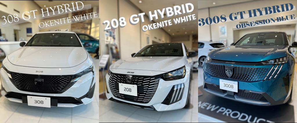 展示車のご案内