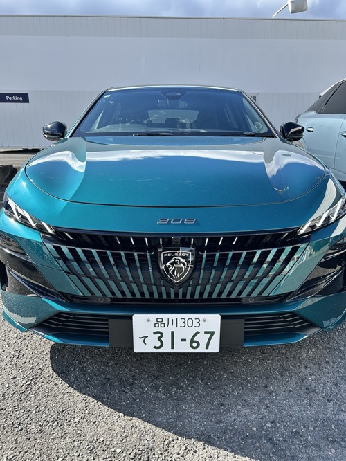 308HYBRID